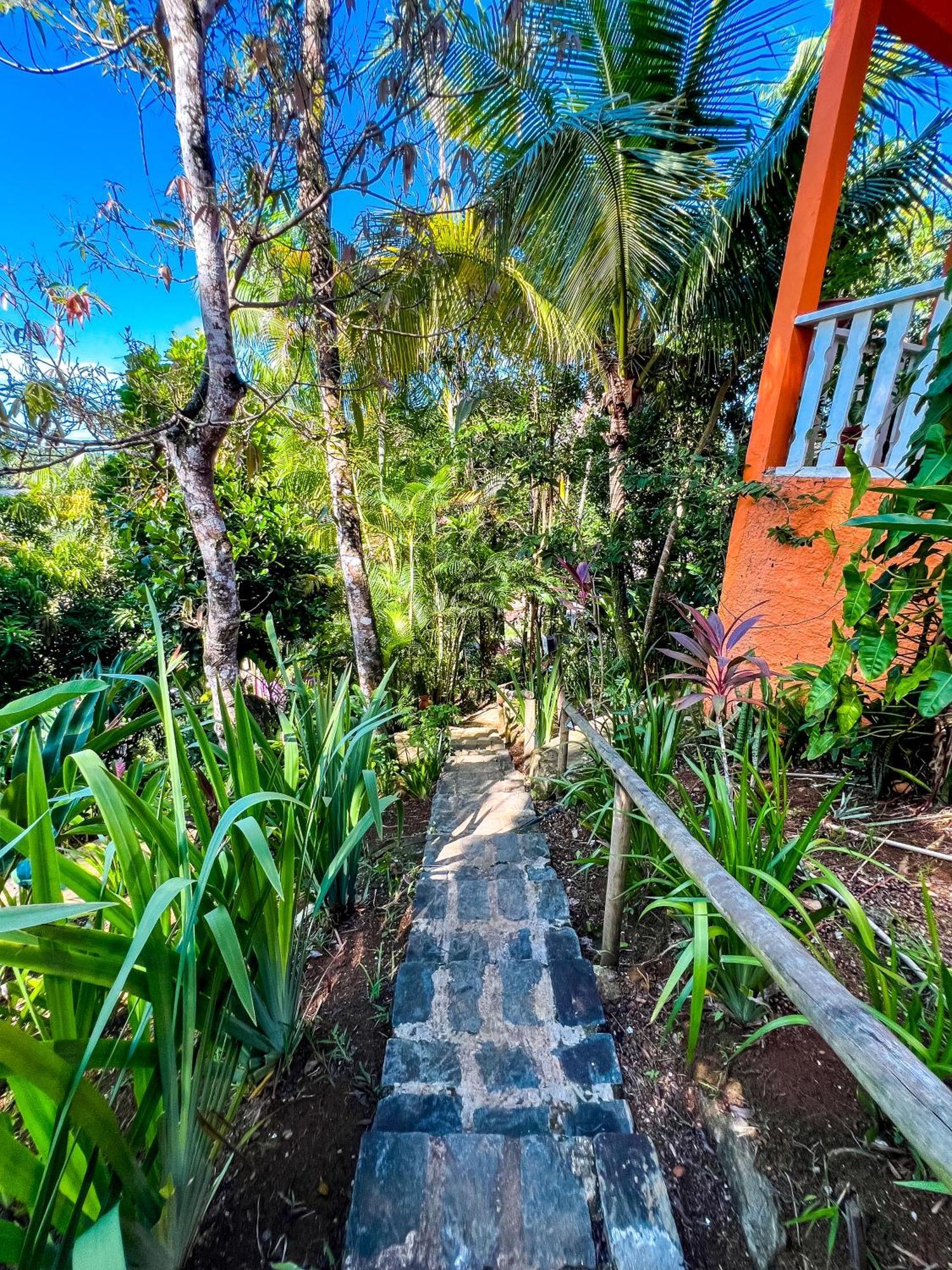 Hostel Zen - Casa Na Floresta Itacaré Zewnętrze zdjęcie