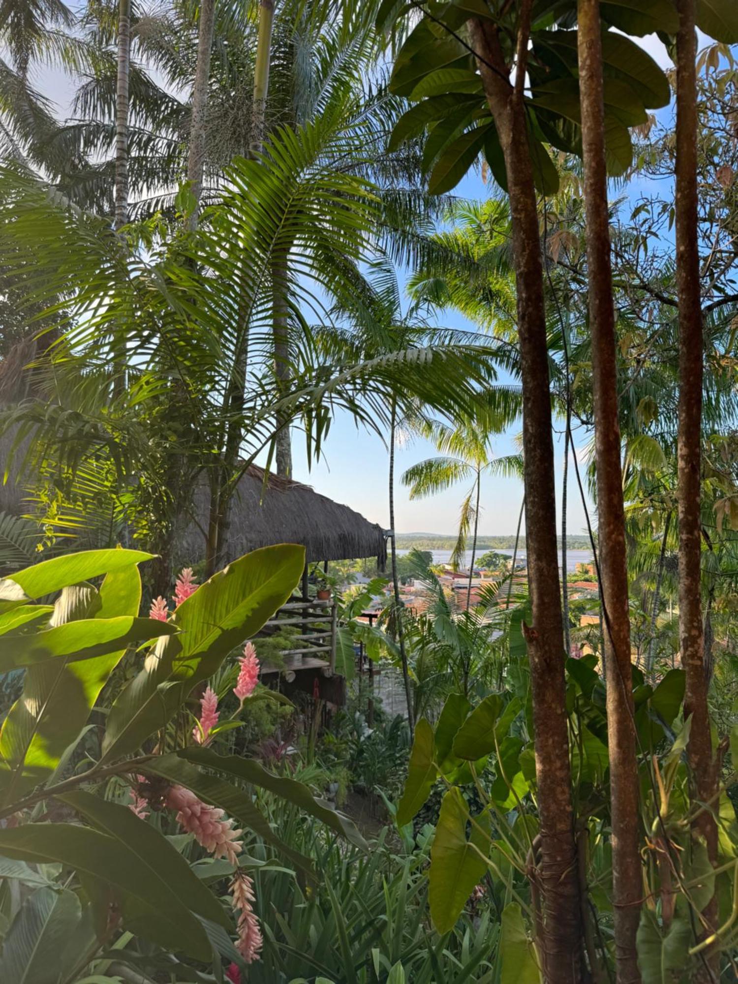 Hostel Zen - Casa Na Floresta Itacaré Zewnętrze zdjęcie
