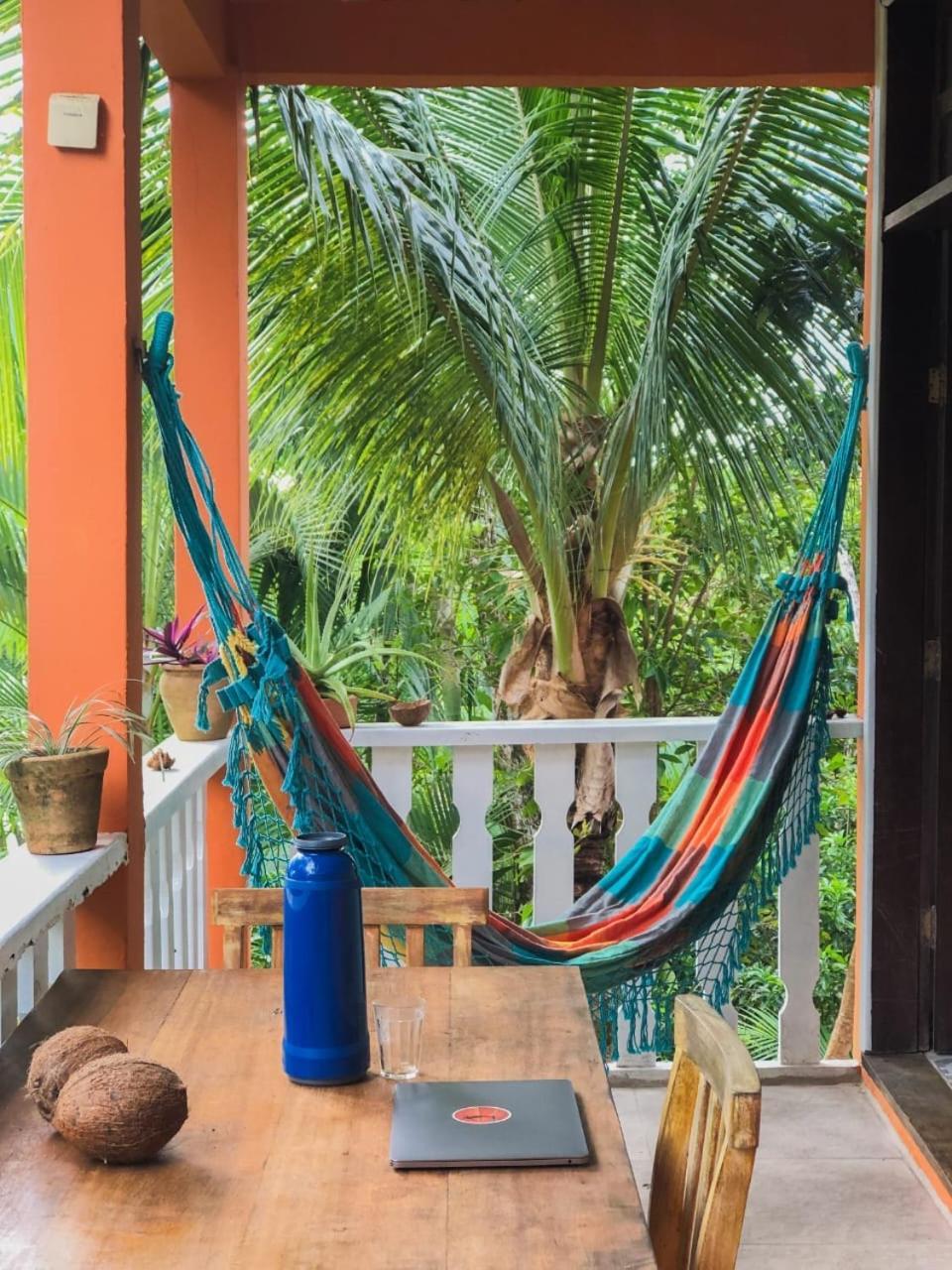 Hostel Zen - Casa Na Floresta Itacaré Zewnętrze zdjęcie